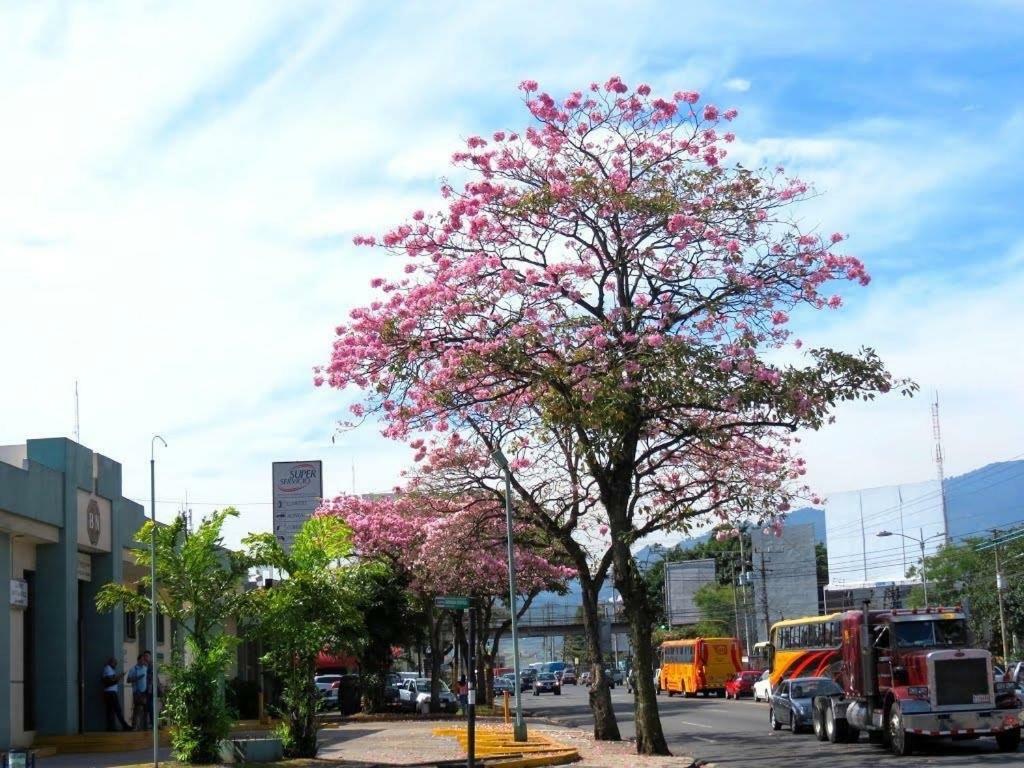 Hotel Ambassador San José Buitenkant foto